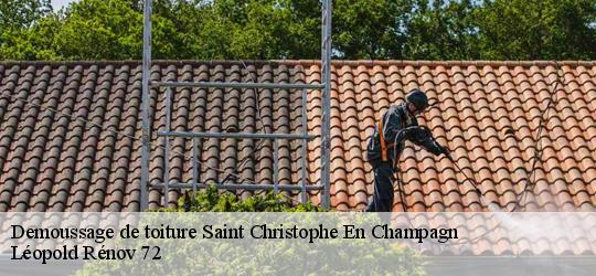 Demoussage de toiture  saint-christophe-en-champagn-72540 Léopold Rénov 72