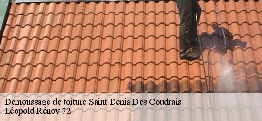 Demoussage de toiture saint-denis-des-coudrais-72110 Léopold Rénov 72