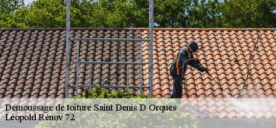 Demoussage de toiture  saint-denis-d-orques-72350 Léopold Rénov 72