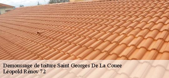 Demoussage de toiture  saint-georges-de-la-couee-72150 Léopold Rénov 72