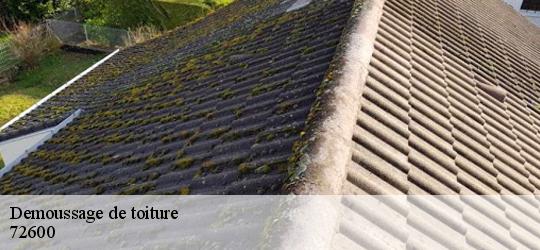 Demoussage de toiture saint-remy-des-monts-72600 Artisna Christol