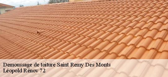 Demoussage de toiture  saint-remy-des-monts-72600 Léopold Rénov 72