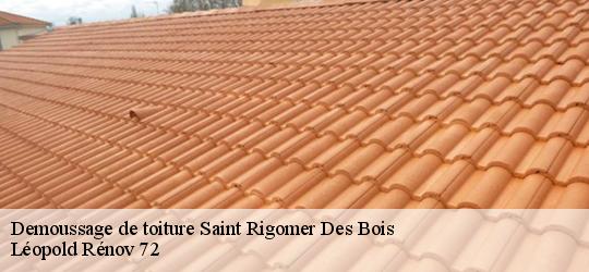 Demoussage de toiture  saint-rigomer-des-bois-72610 Léopold Rénov 72