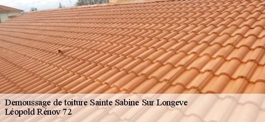 Demoussage de toiture  sainte-sabine-sur-longeve-72380 Léopold Rénov 72