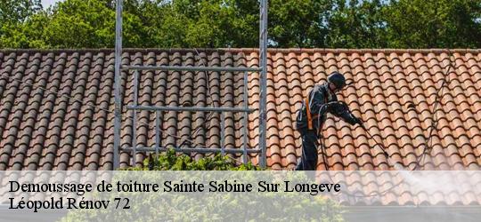 Demoussage de toiture  sainte-sabine-sur-longeve-72380 Léopold Rénov 72