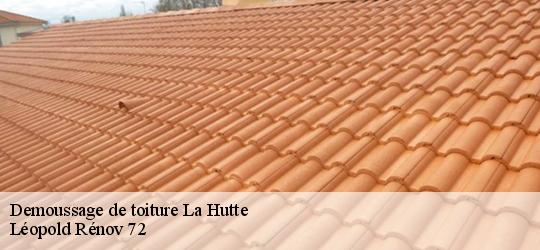 Demoussage de toiture la-hutte-72130 Léopold Rénov 72