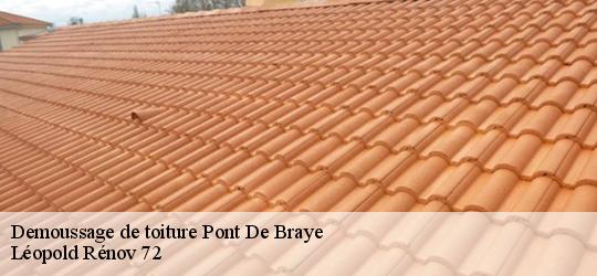 Demoussage de toiture  pont-de-braye-72310 Léopold Rénov 72
