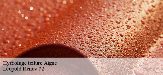 Hydrofuge toiture aigne-72650 Léopold Rénov 72