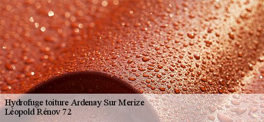 Hydrofuge toiture ardenay-sur-merize-72370 Léopold Rénov 72