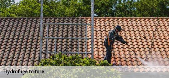 Hydrofuge toiture  asse-le-boisne-72130 Léopold Rénov 72