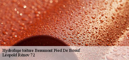 Hydrofuge toiture beaumont-pied-de-boeuf-72500 Léopold Rénov 72
