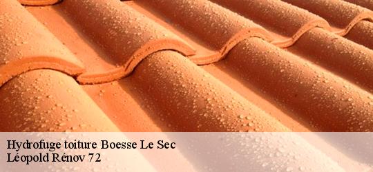 Hydrofuge toiture boesse-le-sec-72400 Léopold Rénov 72