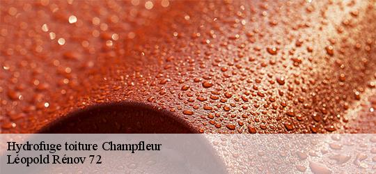 Hydrofuge toiture champfleur-72610 Léopold Rénov 72