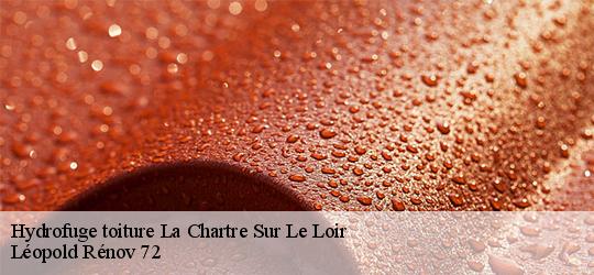 Hydrofuge toiture la-chartre-sur-le-loir-72340 Léopold Rénov 72