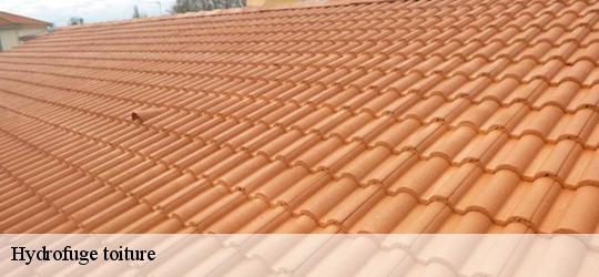 Hydrofuge toiture chaufour-notre-dame-72550 Léopold Rénov 72