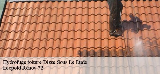 Hydrofuge toiture disse-sous-le-lude-72800 Léopold Rénov 72