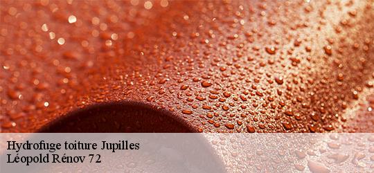 Hydrofuge toiture jupilles-72500 Léopold Rénov 72