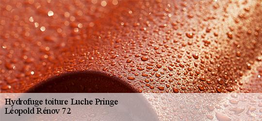 Hydrofuge toiture luche-pringe-72800 Léopold Rénov 72