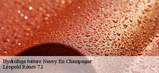Hydrofuge toiture  neuvy-en-champagne-72240 Léopold Rénov 72