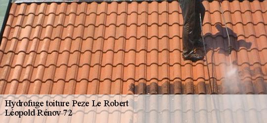 Hydrofuge toiture  peze-le-robert-72140 Léopold Rénov 72