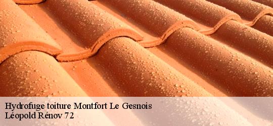 Hydrofuge toiture  montfort-le-gesnois-72450 Léopold Rénov 72