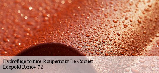 Hydrofuge toiture  rouperroux-le-coquet-72110 Léopold Rénov 72