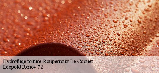 Hydrofuge toiture rouperroux-le-coquet-72110 Léopold Rénov 72