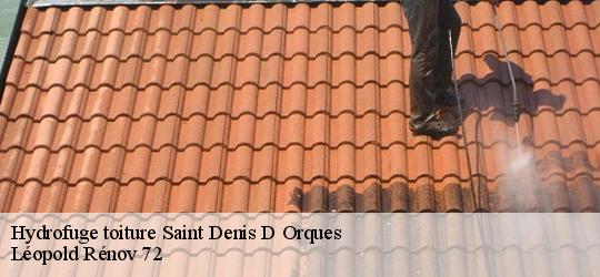 Hydrofuge toiture  saint-denis-d-orques-72350 Léopold Rénov 72