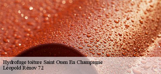 Hydrofuge toiture  saint-ouen-en-champagne-72350 Léopold Rénov 72