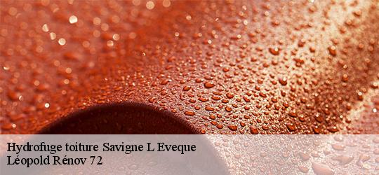 Hydrofuge toiture  savigne-l-eveque-72460 Léopold Rénov 72