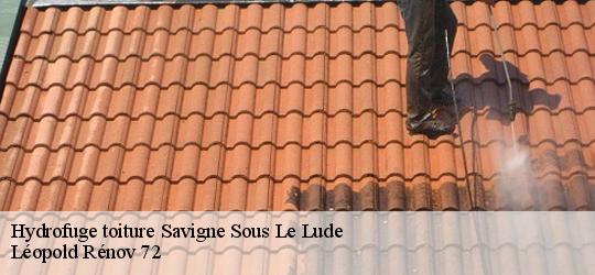 Hydrofuge toiture savigne-sous-le-lude-72800 Léopold Rénov 72