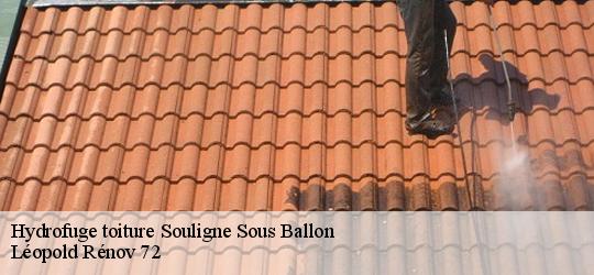 Hydrofuge toiture  souligne-sous-ballon-72290 Léopold Rénov 72