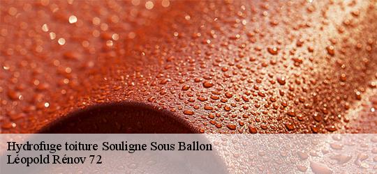 Hydrofuge toiture  souligne-sous-ballon-72290 Léopold Rénov 72