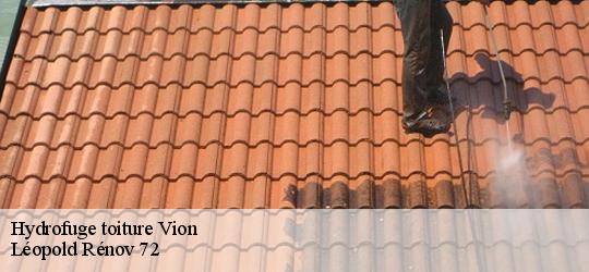 Hydrofuge toiture vion-72300 Léopold Rénov 72