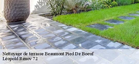 Nettoyage de terrasse  beaumont-pied-de-boeuf-72500 Léopold Rénov 72