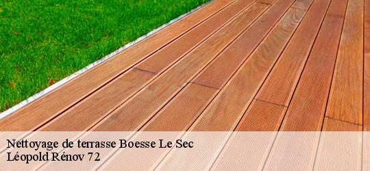 Nettoyage de terrasse boesse-le-sec-72400 Léopold Rénov 72