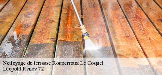 Nettoyage de terrasse  rouperroux-le-coquet-72110 Léopold Rénov 72