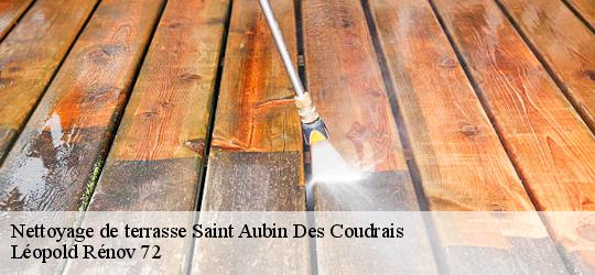 Nettoyage de terrasse saint-aubin-des-coudrais-72400 Léopold Rénov 72