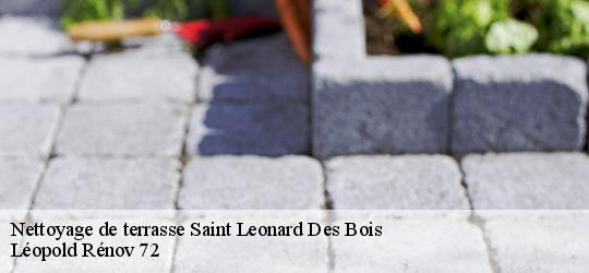 Nettoyage de terrasse  saint-leonard-des-bois-72590 Léopold Rénov 72