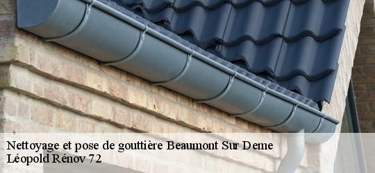 Nettoyage et pose de gouttière  beaumont-sur-deme-72340 Léopold Rénov 72
