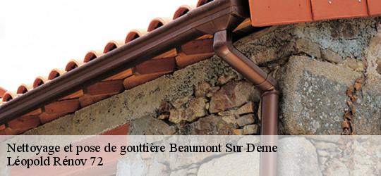 Nettoyage et pose de gouttière  beaumont-sur-deme-72340 Léopold Rénov 72