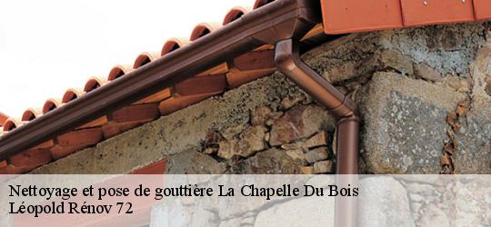 Nettoyage et pose de gouttière la-chapelle-du-bois-72400 Léopold Rénov 72