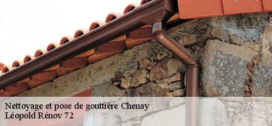 Nettoyage et pose de gouttière chenay-72610 Léopold Rénov 72