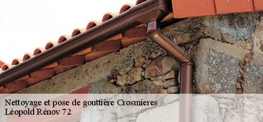 Nettoyage et pose de gouttière crosmieres-72200 Léopold Rénov 72