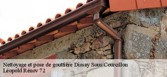 Nettoyage et pose de gouttière dissay-sous-courcillon-72500 Léopold Rénov 72