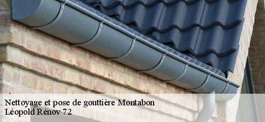 Nettoyage et pose de gouttière  montabon-72500 Léopold Rénov 72