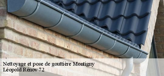 Nettoyage et pose de gouttière montigny-72670 Léopold Rénov 72