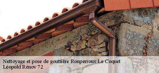 Nettoyage et pose de gouttière  rouperroux-le-coquet-72110 Léopold Rénov 72