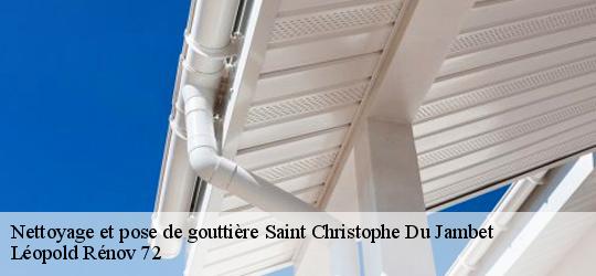 Nettoyage et pose de gouttière saint-christophe-du-jambet-72170 Léopold Rénov 72