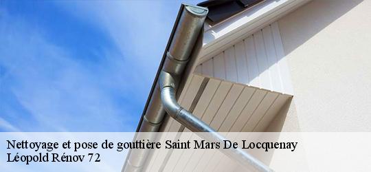 Nettoyage et pose de gouttière saint-mars-de-locquenay-72440 Léopold Rénov 72